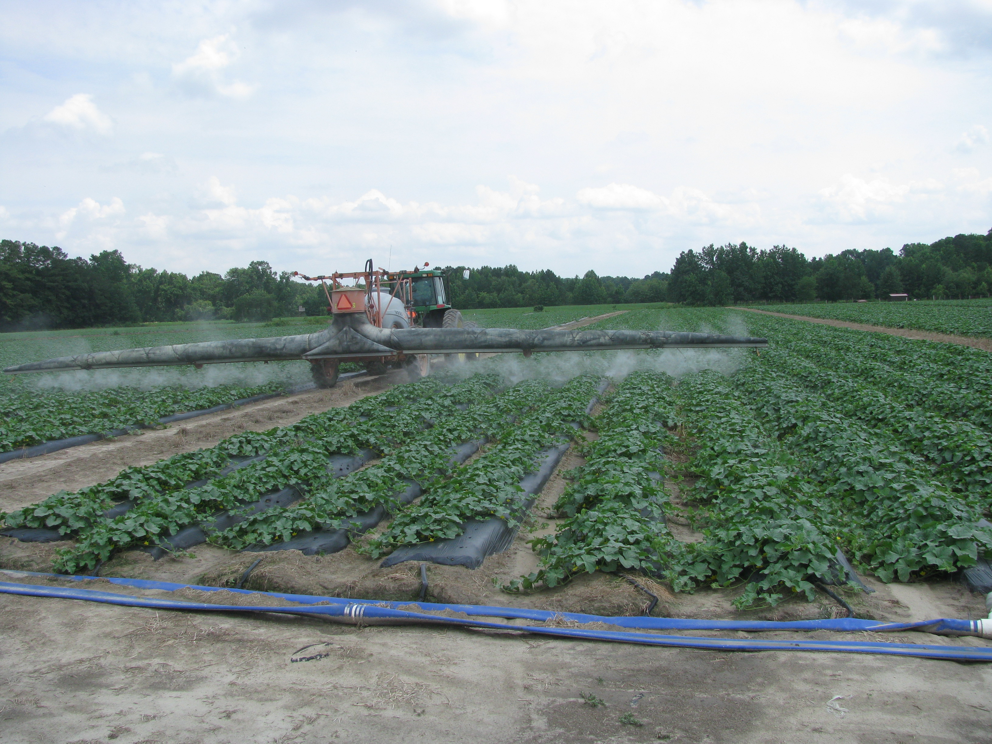 An important ingredient for Vegetable production - a good sprayer